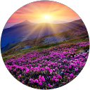 Ravish SHAH profile picture